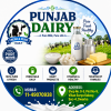 Punjab Dairy Punjab Dairy