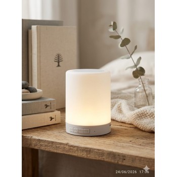 Bluetooth Speaker with Touch Lamp