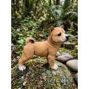 Cute Puppy