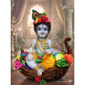 Elegant Kanha Ji