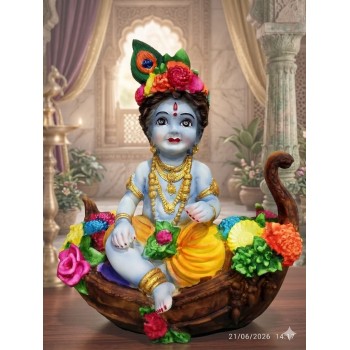 Elegant Kanha Ji