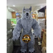 Wolf Mascot Wolf Mascot