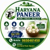 Haryana Paneer
